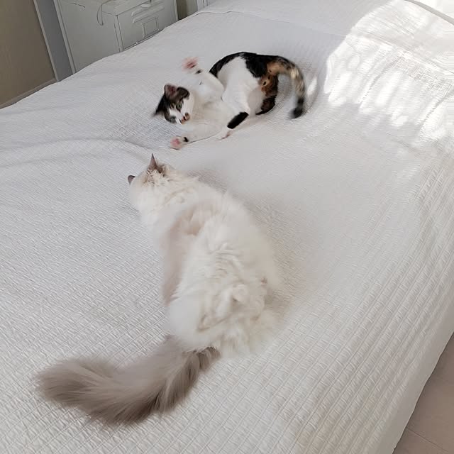 yuchiさんの実例写真