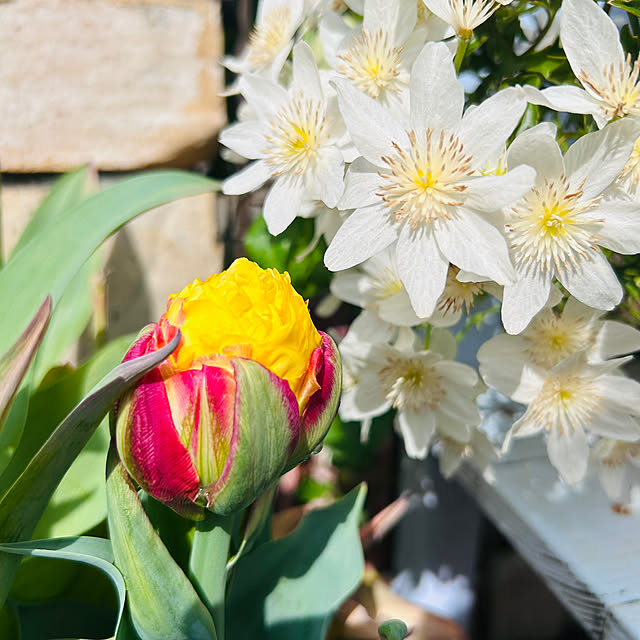 sunabaさんの部屋