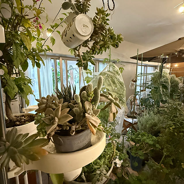 Aqettyさんの部屋