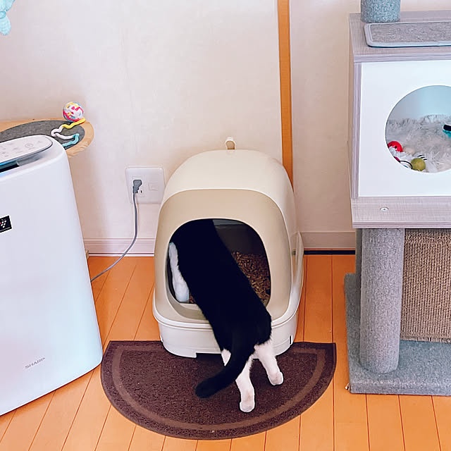 moolさんの部屋