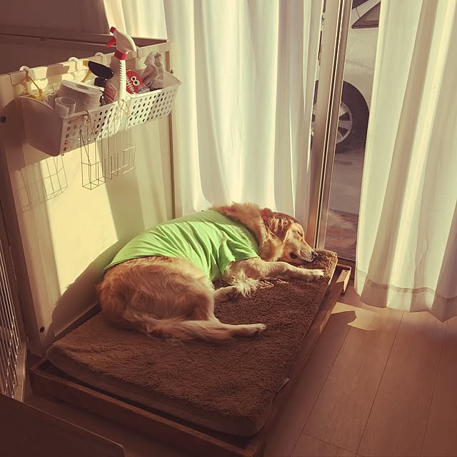 Kazueさんの実例写真
