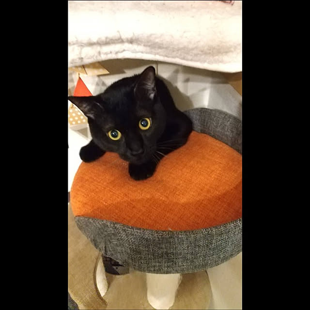 Tさんの実例写真
