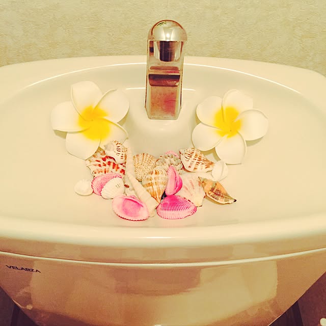 nyan2さんの実例写真