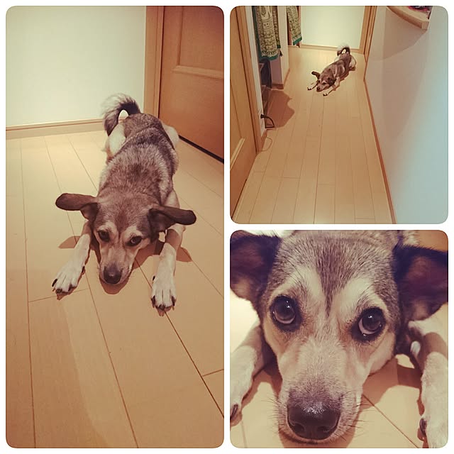 andさんの実例写真