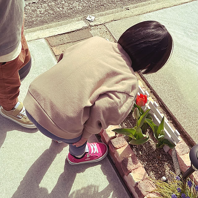 yukimidaifukuさんの部屋