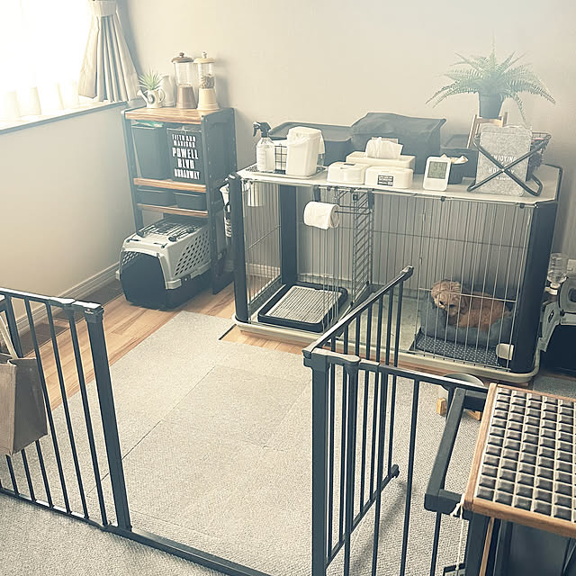 ikt.tamaさんの部屋