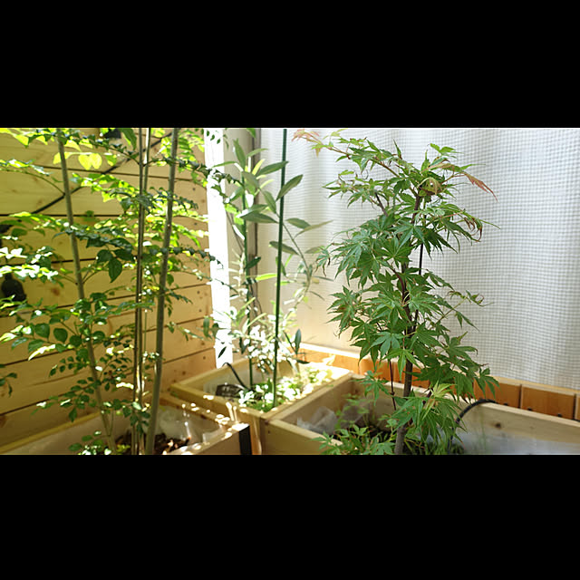 NKGardenさんの実例写真