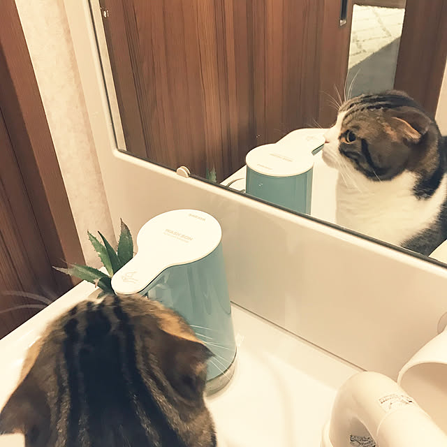 tansukeさんの実例写真