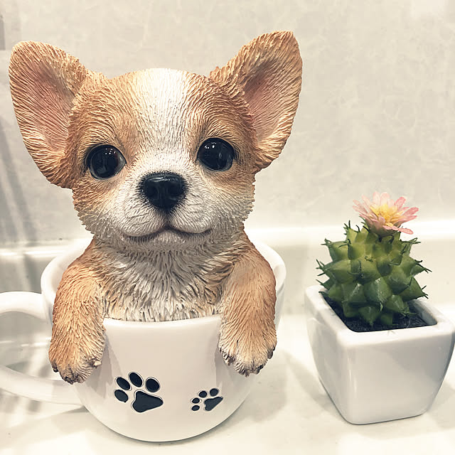chocoさんの実例写真