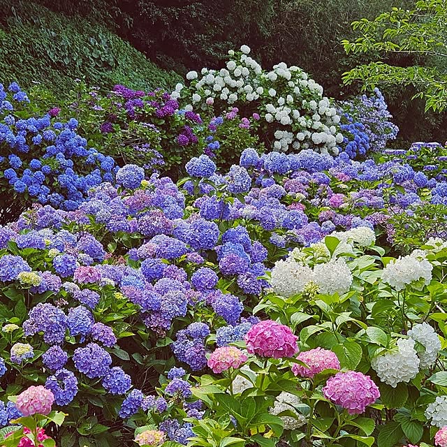 mocomocoさんの部屋