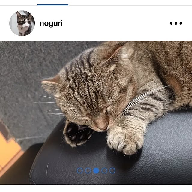 noguriさんの部屋