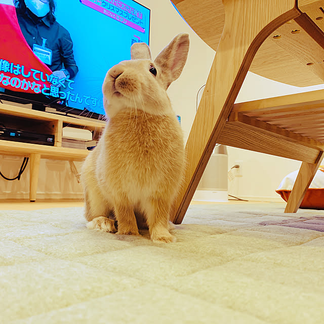 339rnarnaさんの実例写真