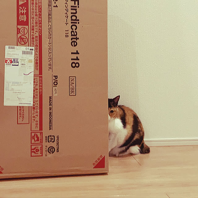 noriさんの実例写真