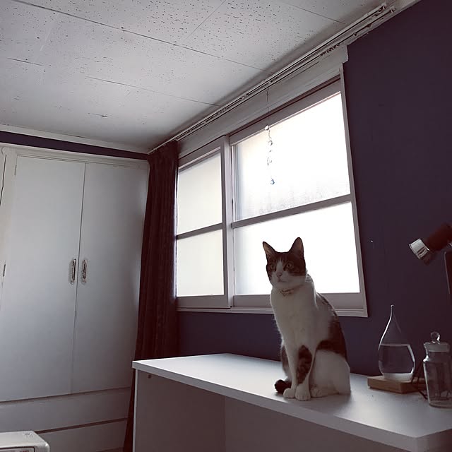 Shihoさんの実例写真