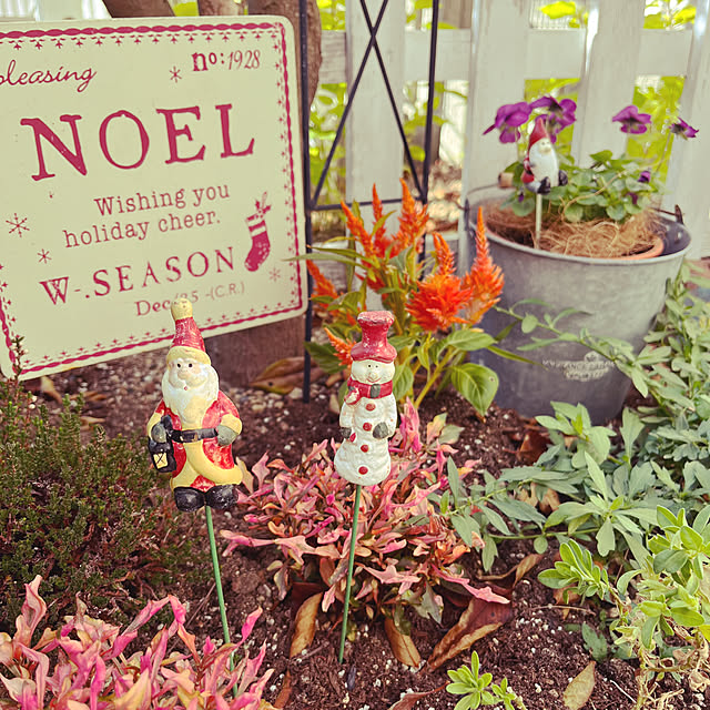 tomatoさんの部屋