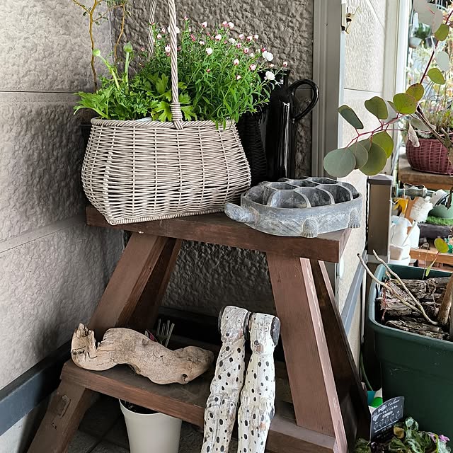 koyutan-mjmさんの部屋