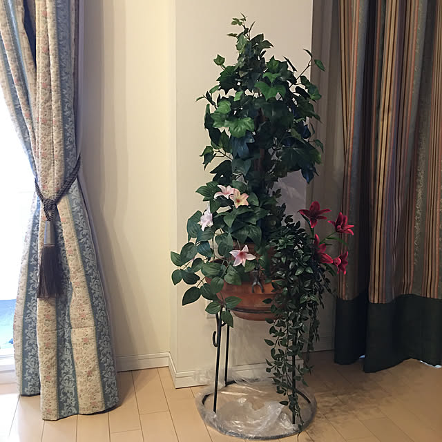 Lucreziaさんの実例写真