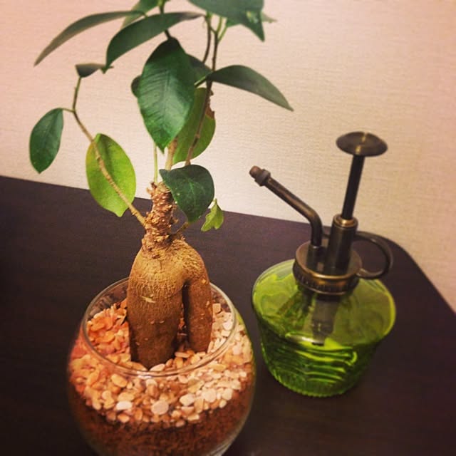muさんの実例写真