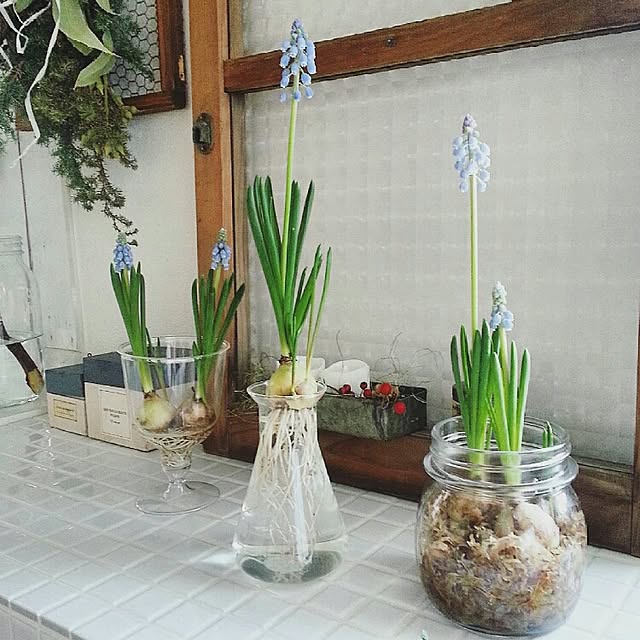 hiromi0302さんの実例写真