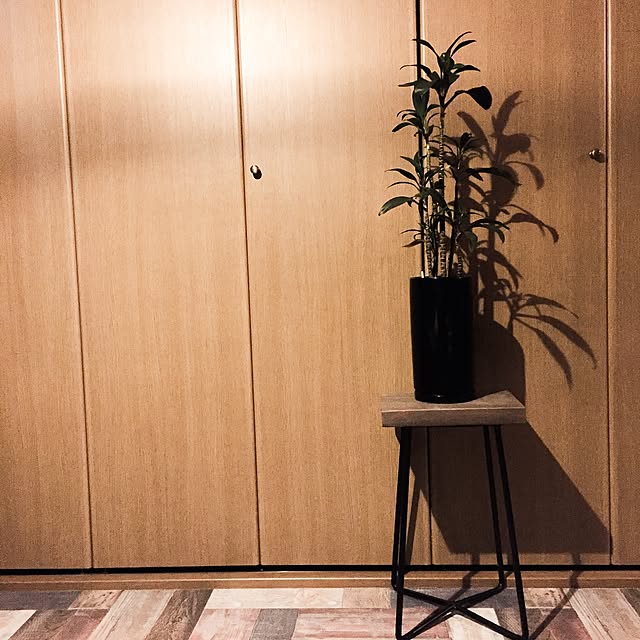 kazooさんの実例写真