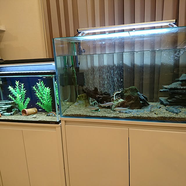 Keisukeさんの実例写真