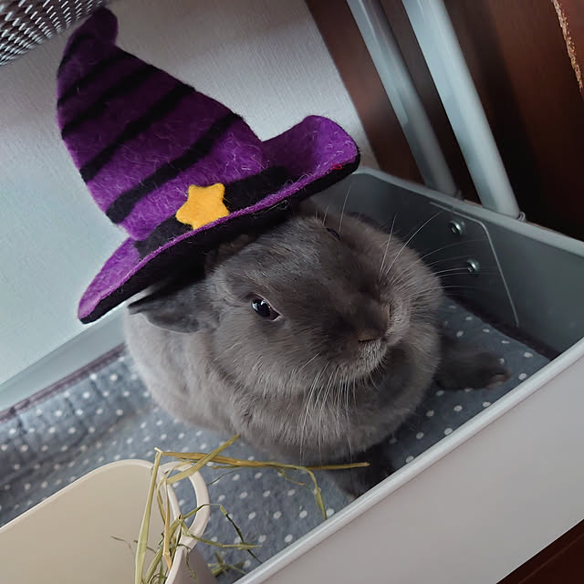 kirariさんの実例写真