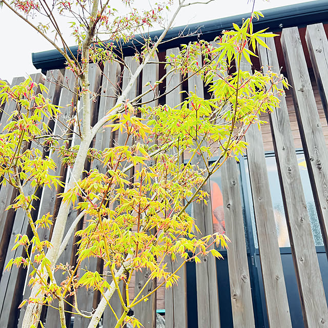 seiさんの実例写真