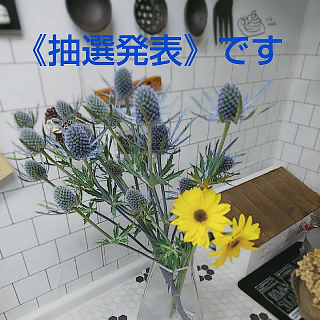 Motomeさんの実例写真