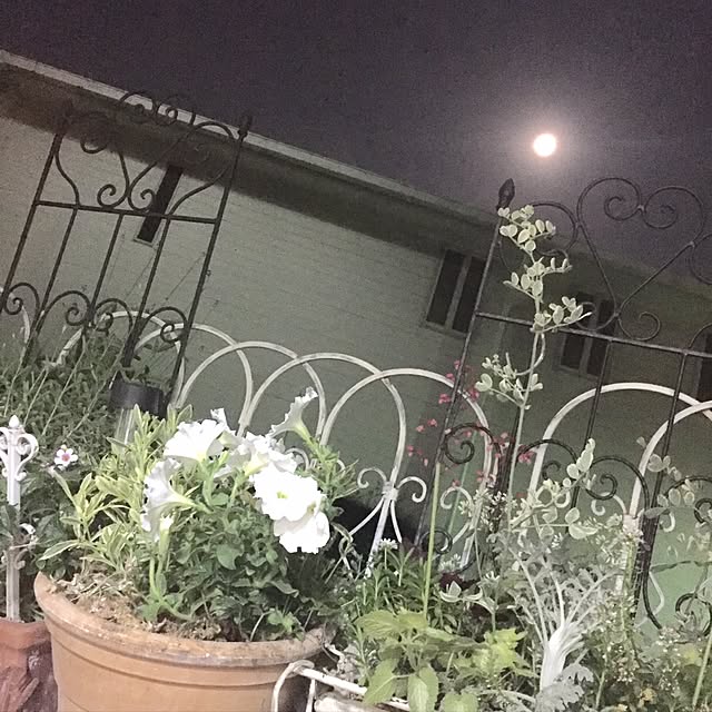 Naomiさんの実例写真