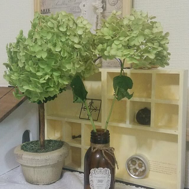 mamibuさんの実例写真