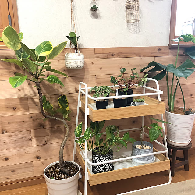 CoffeeHouseさんの実例写真