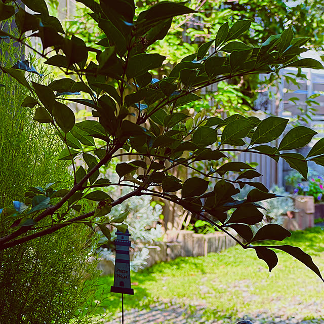 chacoさんの実例写真