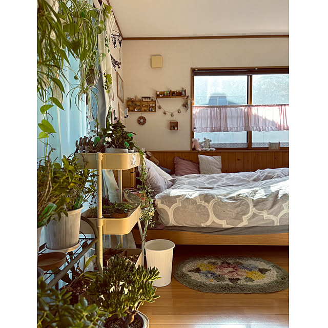 CoCo0617さんの部屋