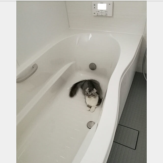 aki8112さんの実例写真