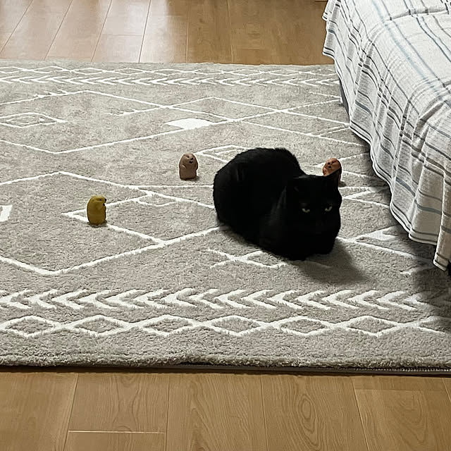tangosanさんの実例写真