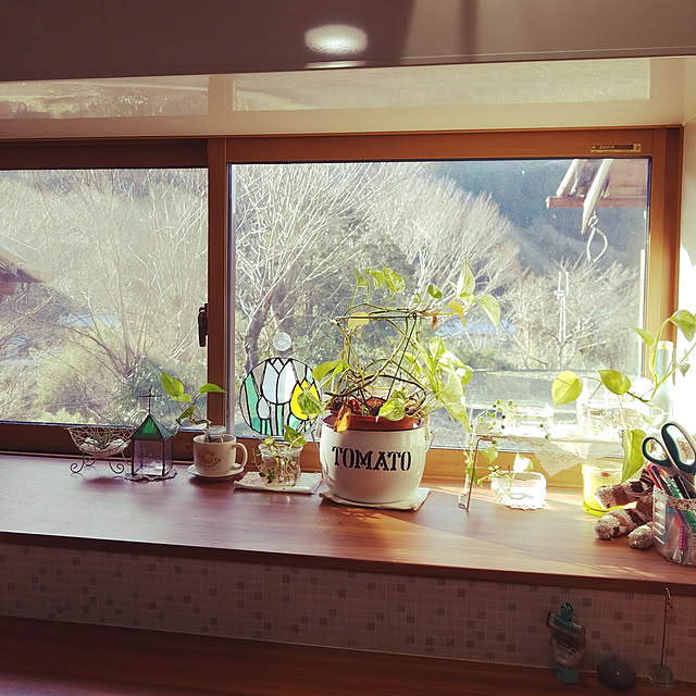 実例写真