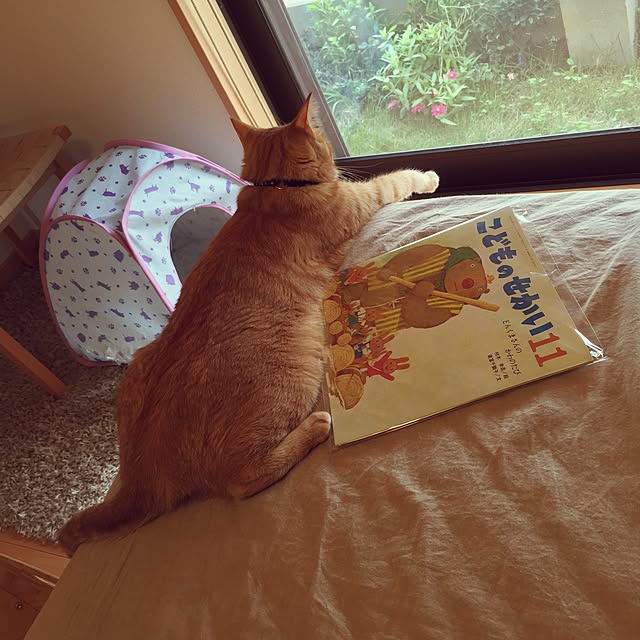 hanaさんの実例写真