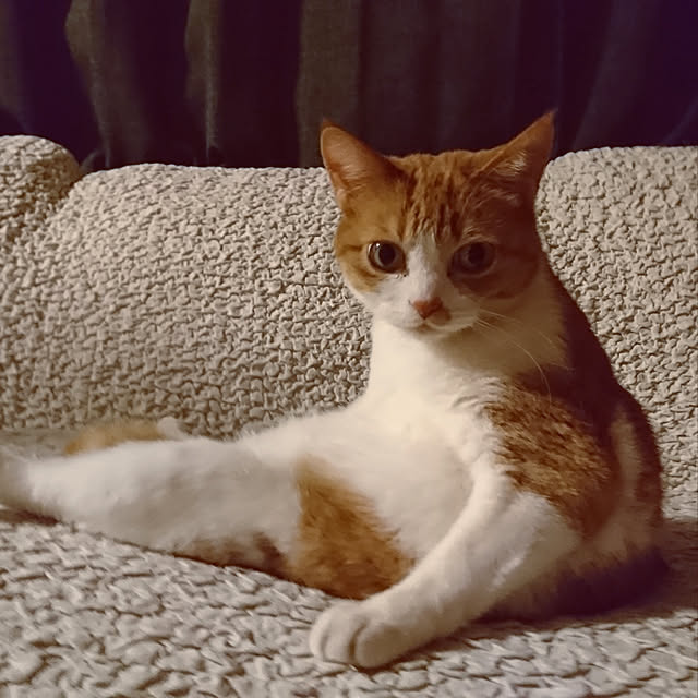 takaさんの実例写真