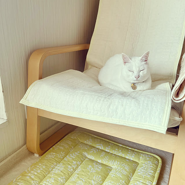 Maiさんの部屋