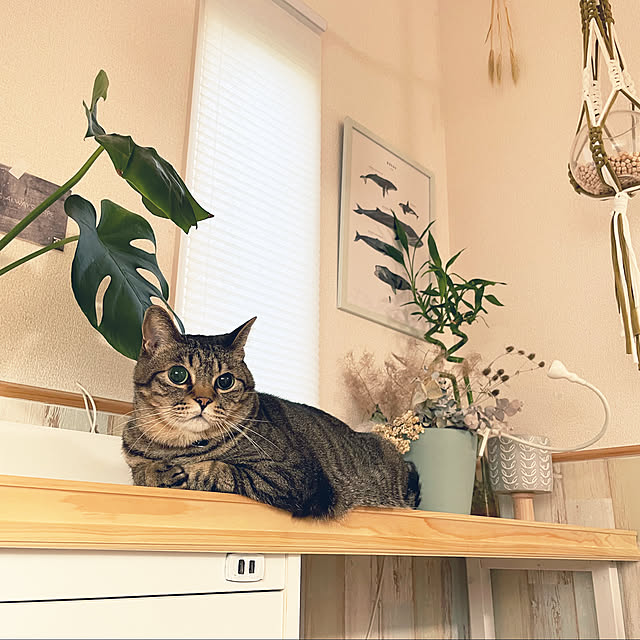 t-famさんの実例写真