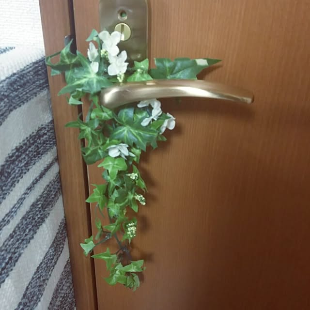ayanebulaさんの実例写真