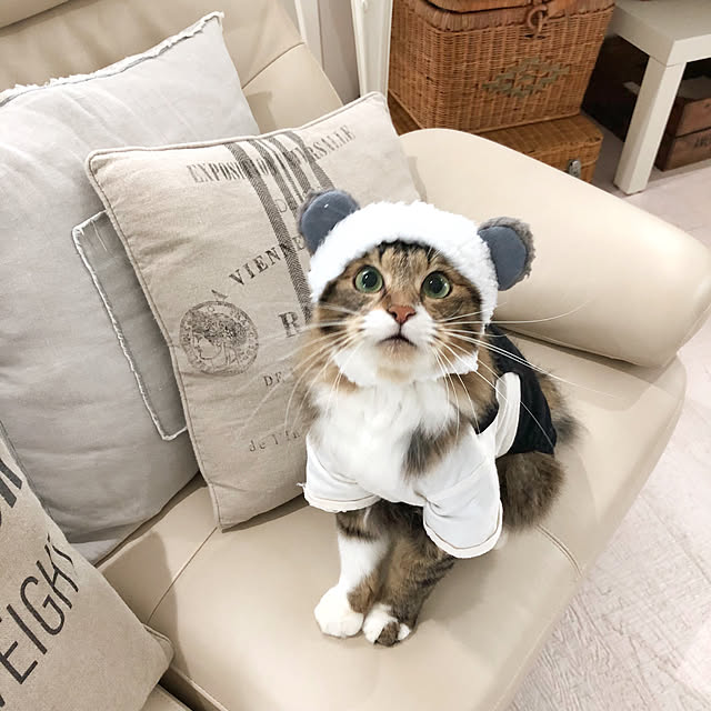 yuchiさんの実例写真
