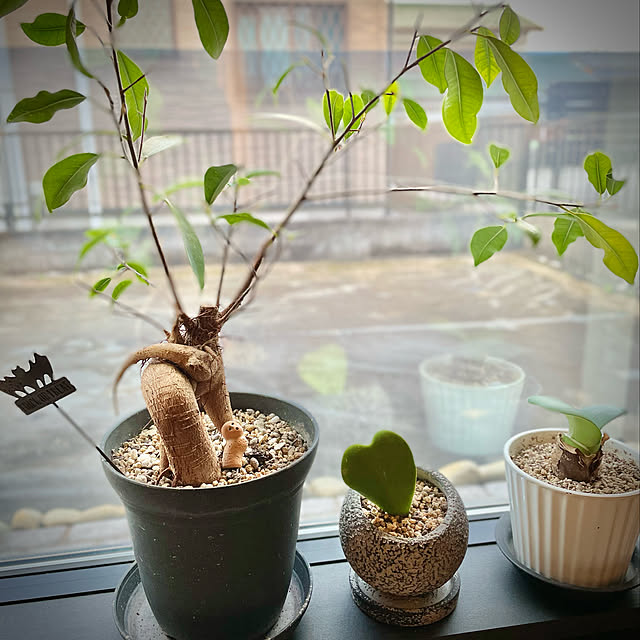 Rainさんの実例写真