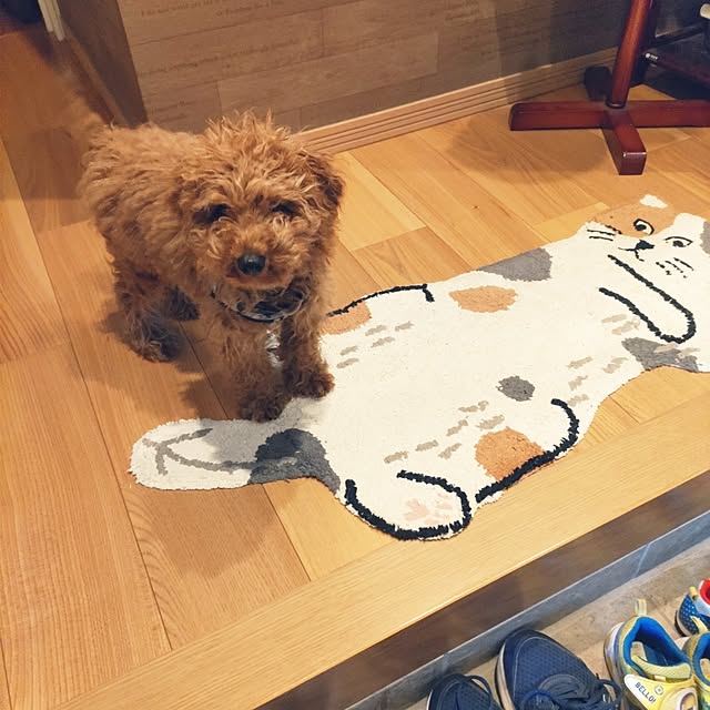 chokocreamさんの実例写真