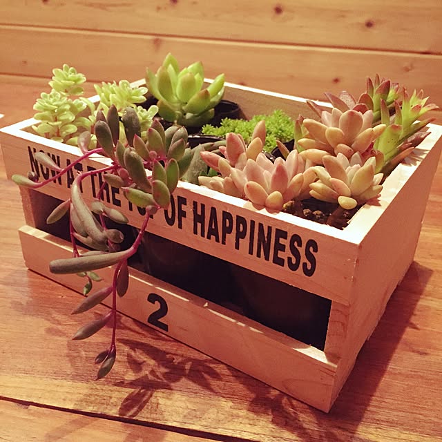 机/観葉植物/100均/雑貨/セリア...などのインテリア実例 - 2015-06-18 00:34:59