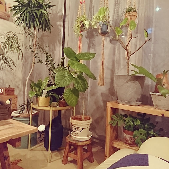 cafe-plageさんの実例写真