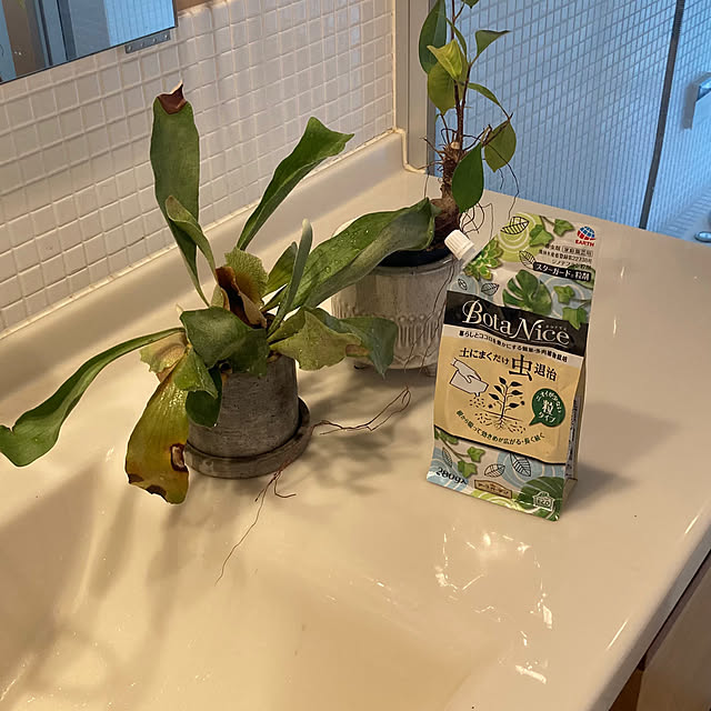 yukikoさんの部屋