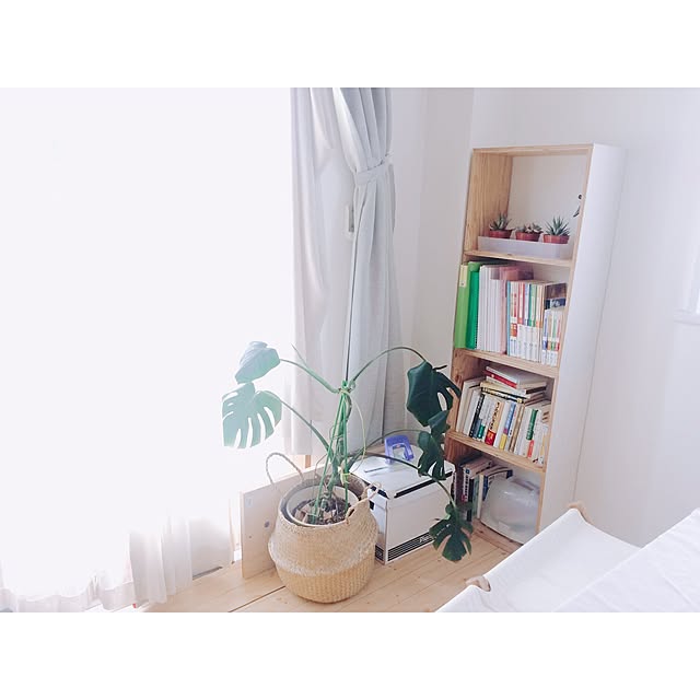 Mikiさんの実例写真