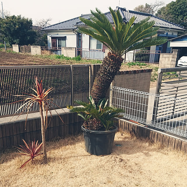 ot-gardenさんの実例写真
