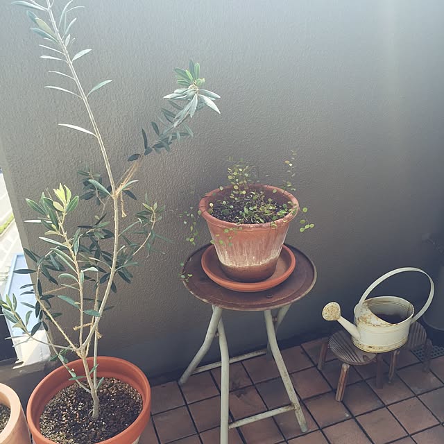 konorinokoさんの実例写真
